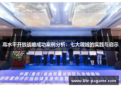 高水平开放战略成功案例分析：七大领域的实践与启示